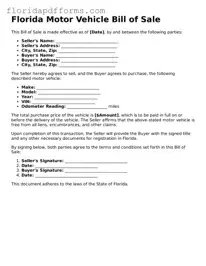Official  Motor Vehicle Bill of Sale Template for Florida